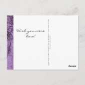 Carte Postale Balade Collage Violet Cadre photo (Dos)