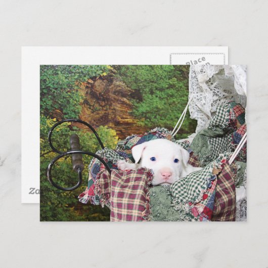 Carte Postale Balade de transport pour bébé chiot (Devant / Derrière)