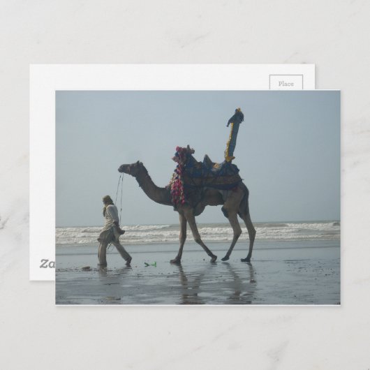 Carte Postale Balade en chameaux tribaux : Marée matinale Sables (Devant / Derrière)