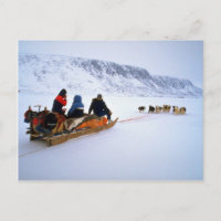 Balade en traîneau à chiens, South Baffin Island
