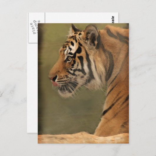 Carte Postale balai (Devant / Derrière)