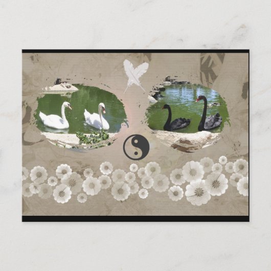 Carte postale Balance des cygnes (Devant)