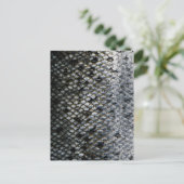 Carte Postale Balances de poissons (Debout devant)