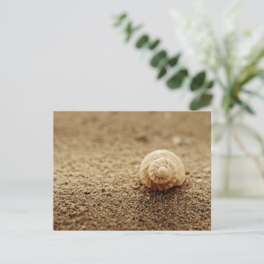 Carte Postale Balayage commun | Botany Bay (Debout devant)