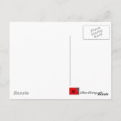 Carte Postale Balayage de singe (Dos)