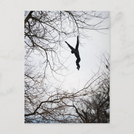 Carte Postale Balayage de singe (Devant)