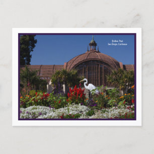 Carte Postale Balboa Park Botanical Building Egret Flowers Frame