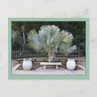 Balboa Park Scene rappelle la paroisse de Maxfield