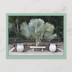 Carte Postale Balboa Park Scene rappelle la paroisse de Maxfield