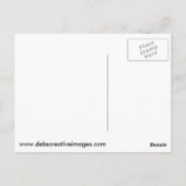 Carte Postale Balbuzard pêcheur avec poisson (Dos)