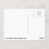 Carte Postale Balbuzard pêcheur avec poisson (Dos)
