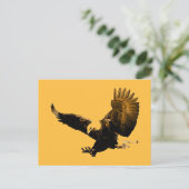 Carte postale Bald American Eagle Landing (Debout devant)