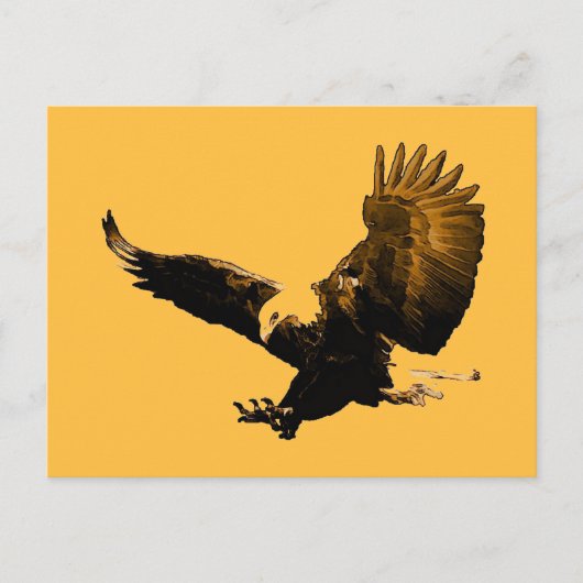 Carte postale Bald American Eagle Landing (Devant)