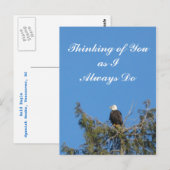 Carte postale Bald Eagle (Devant / Derrière)