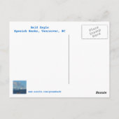 Carte postale Bald Eagle (Dos)