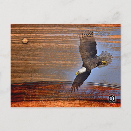 CARTE POSTALE BALD EAGLE (Devant)