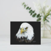 Carte postale Bald Eagle 2 (Debout devant)