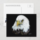Carte postale Bald Eagle 2 (Devant / Derrière)