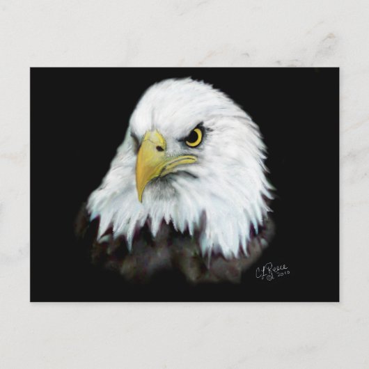 Carte postale Bald Eagle 2 (Devant)