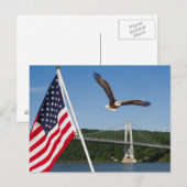 Carte Postale Bald Eagle (American Pride) (Devant / Derrière)