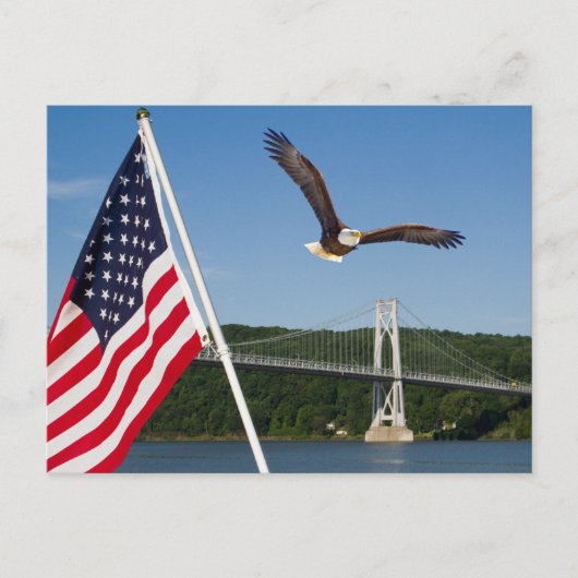 Carte Postale Bald Eagle (American Pride) (Devant)