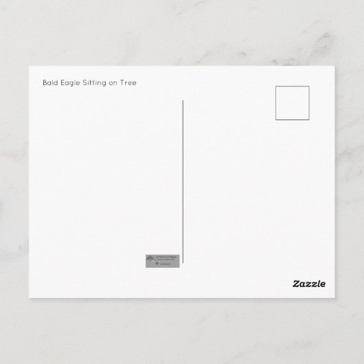 Carte postale Bald Eagle assise (Dos)