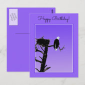 Carte Postale Bald Eagle at Sunset - Art original de la faune (Devant / Derrière)