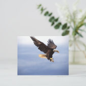 Carte Postale Bald Eagle Dive (Debout devant)