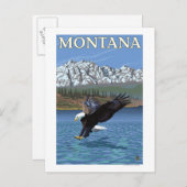 Carte Postale Bald Eagle Diving - Montana (Devant / Derrière)