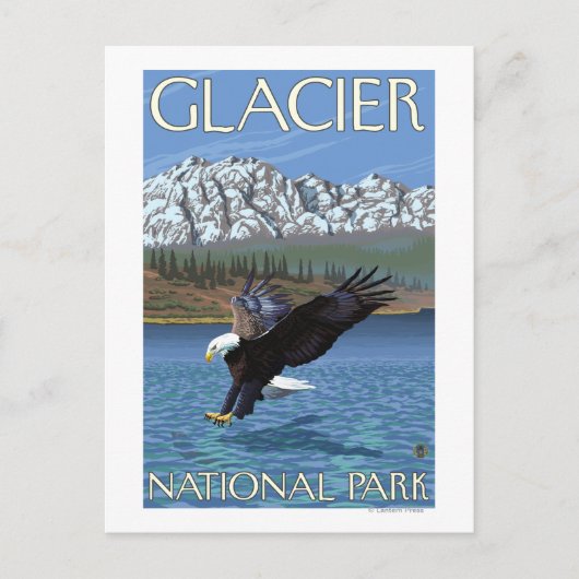 Carte Postale Bald Eagle Diving - Parc national des Glaciers, MT (Devant)