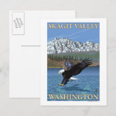 Carte Postale Bald Eagle Diving - Skagit Valley, Washington (Devant / Derrière)