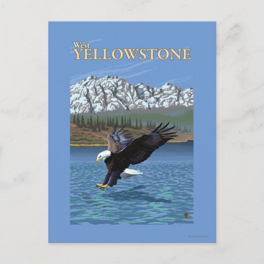 Carte Postale Bald Eagle Diving - West Yellowstone, MT (Devant)