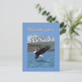 Carte Postale Bald Eagle Diving - West Yellowstone, MT (Debout devant)