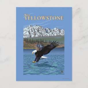 Carte Postale Bald Eagle Diving - West Yellowstone, MT