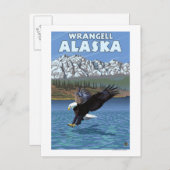 Carte Postale Bald Eagle Diving - Wrangell, Alaska (Devant / Derrière)