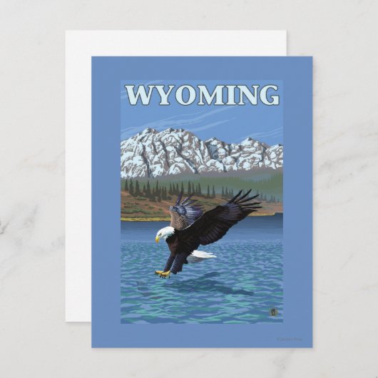 Carte Postale Bald Eagle Diving - Wyoming (Devant / Derrière)