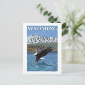 Carte Postale Bald Eagle Diving - Wyoming (Debout devant)