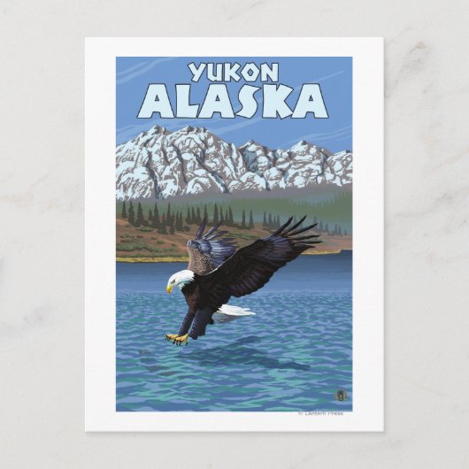 Carte Postale Bald Eagle Diving - Yukon, Alaska (Devant)