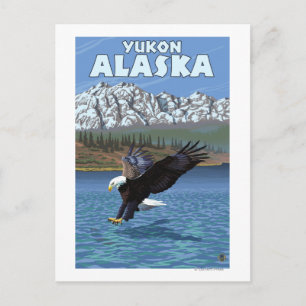 Carte Postale Bald Eagle Diving - Yukon, Alaska