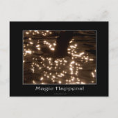 CARTE POSTALE BALD EAGLE & EAU SOLEIL (Devant)