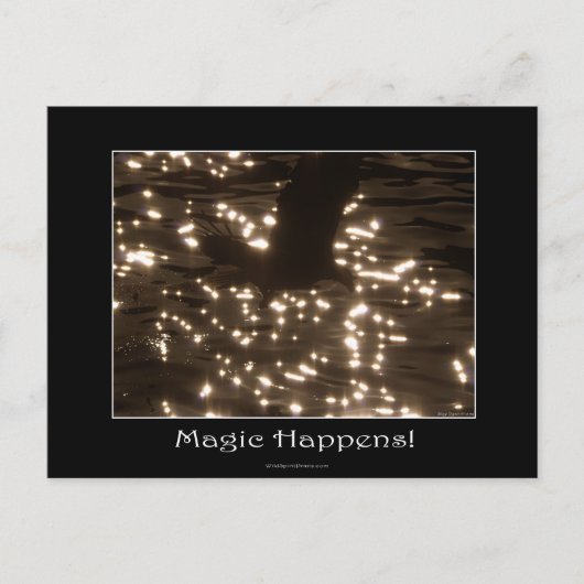 CARTE POSTALE BALD EAGLE & EAU SOLEIL (Devant)