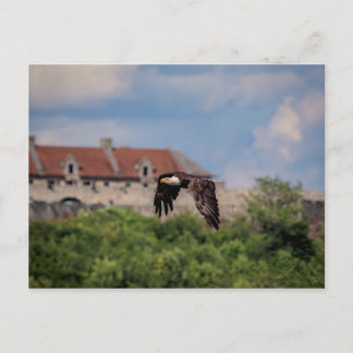 Carte Postale Bald Eagle en passant par Fort Ticondéroga