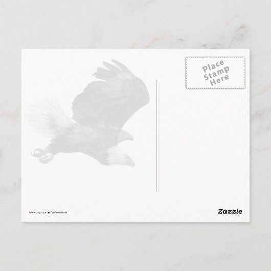 Carte Postale Bald Eagle Eyes (Dos)