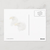 Carte Postale Bald Eagle Famille de quatre (Dos)