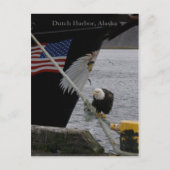 Carte Postale Bald Eagle perché sur une ligne d'amarrage, hollan (Devant)