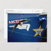 Carte Postale Bald Eagle survolant la F/V Arcturus (Devant / Derrière)