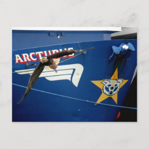 Carte Postale Bald Eagle survolant la F/V Arcturus