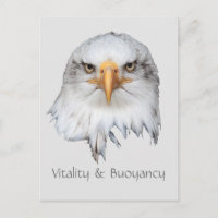 Bald Eagle Vitalité et Bouée personnalisable