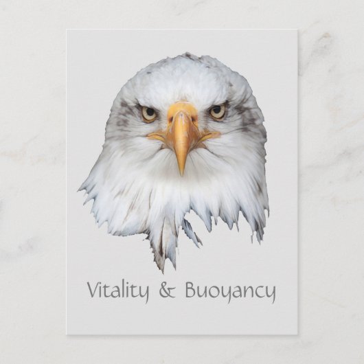 Carte Postale Bald Eagle Vitalité et Bouée personnalisable (Devant)