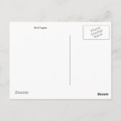 Carte postale Bald Eagles (Dos)